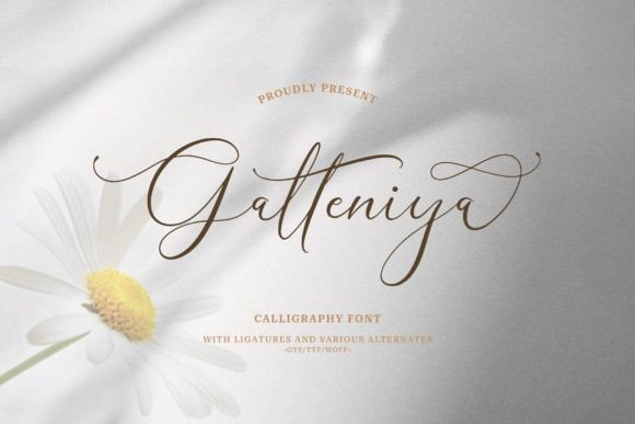 Galteniya: A Luxury Script Font for Handmade Brands