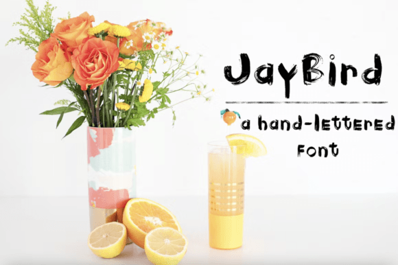 Jaybird: A Hand-Lettered Script Font for Editorial Charm